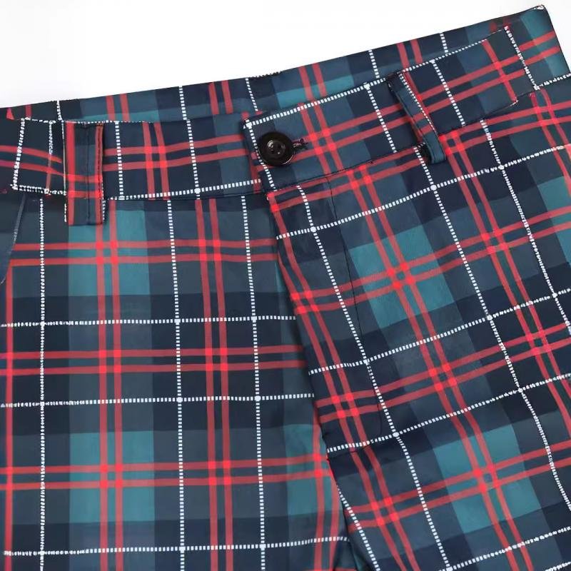 Men's Casual Plaid Print Pants 34986460Y